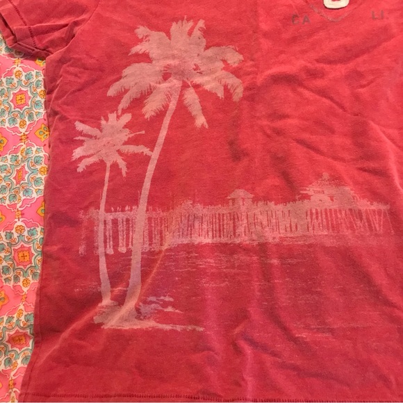 Hollister Malibu Tropical Graphic Brushed Cotton Muted Red Short Sleeve T-Shirt - Picture 8 of 11